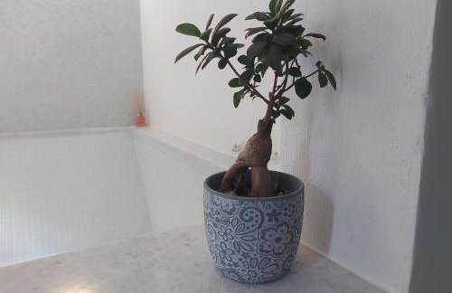 Karlovasi Studios - Foto 32