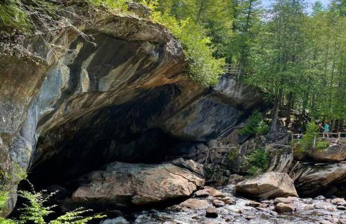 Lily Pad North at Loon Lake near Gore Mountain - Foto 32