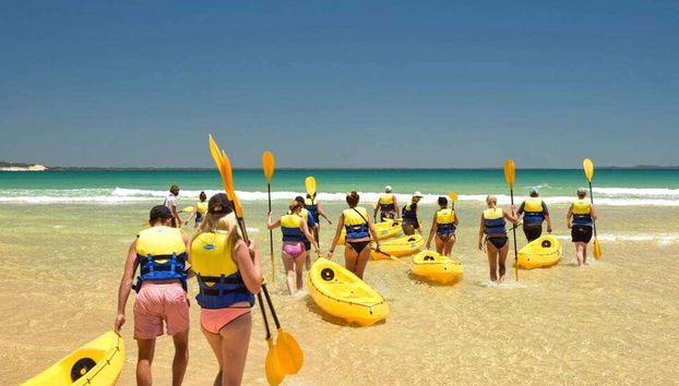 Dolphin View Kayak Tour - Foto 3