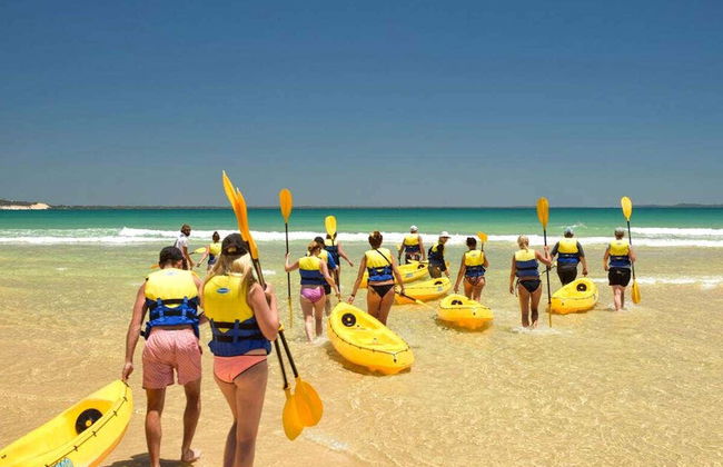 Dolphin View Kayak Tour - Foto 3