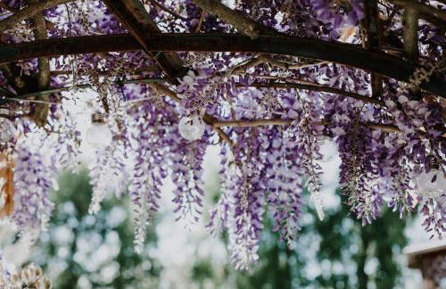 Demeure du Haut Canteloup - Foto 36