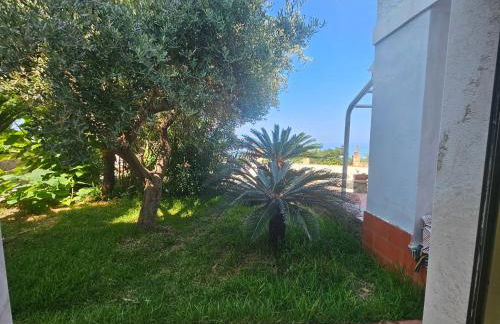 Da mia zia - Foto 55