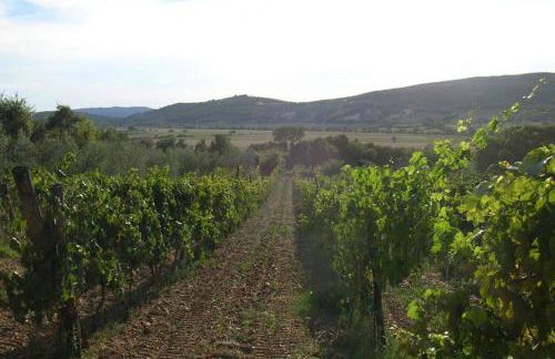 wine apartment le sedici - Foto 47