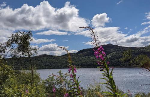 Thistle Cottage, CrannachCottages - Foto 28