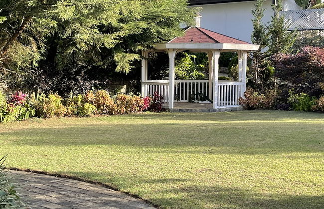 The Blossoms - Photo 31