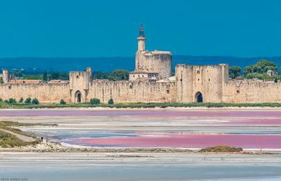 Vacances en Camargue proche de la mer climatisé - Foto 20