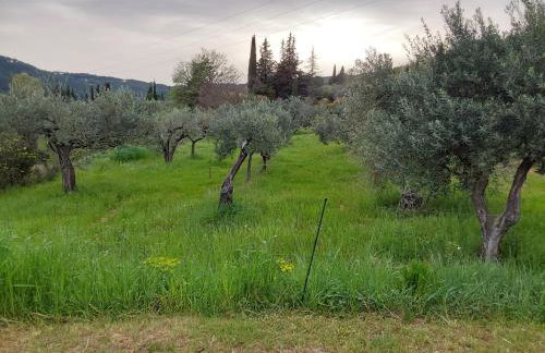 Maison Provençale - Foto 16