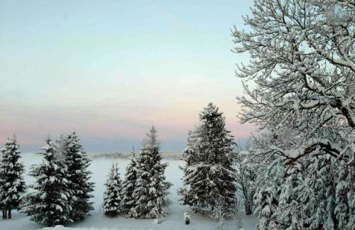 Nordique Symbiose - Foto 67