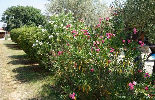 Casa La Vida - Foto 40