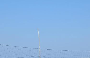 Regolo Rent - Foto 2