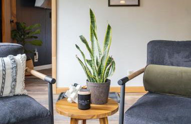 The Lily Pad - Hunter NY - Foto 8