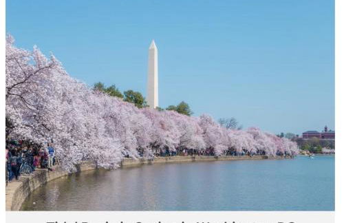 Luxury @ National Harbor Waterfront, Gaylord & MGM - Foto 33