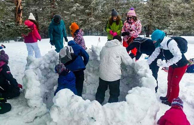 Passeggiata con racchette da neve + Costruzione di un iglù - Foto 1