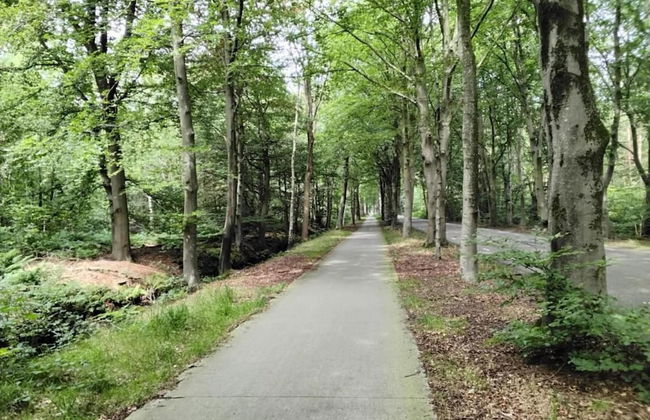 Holiday House in Friesland With Garden - Foto 32