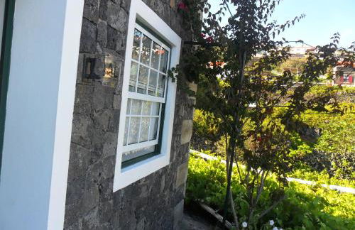 Adega Ilhéu - Photo 24