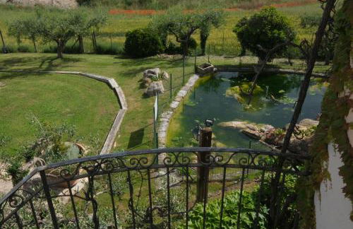 Agriturismo La Collinetta - Foto 15