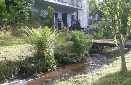 Apartamenty Kudowski Potok - Foto 19