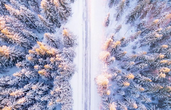 Italianway - Belvedere 28 - Genziana - Foto 36