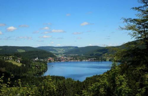 Romantic Style Apartment Titisee-Neustadt - Foto 55