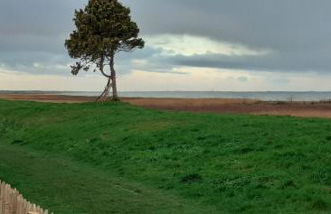 Chez Emile - Foto 47