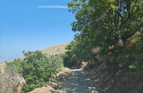 Il casale degli aragonesi - Foto 8