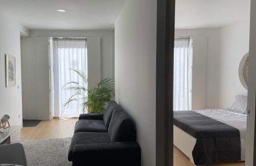 Mus Boavista - Foto 5