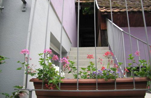 Les Jardins de Lo're'an - Foto 6