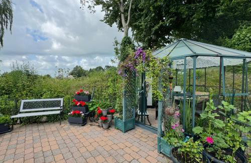 Emmis-Ferienhaus - Foto 21