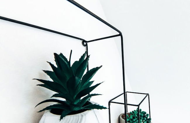 Princes Street Apartment - Photo 17