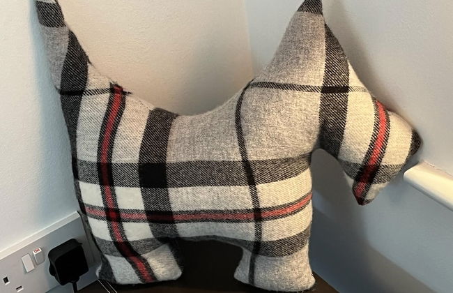 Blaydonburn - Sleeps 4,5 - Parking - Hottub - Yard - Photo 6