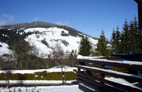 La Résidence de L'Ours - Foto 64