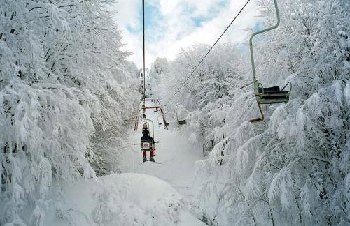 Traditional Stone House in pelion - Foto 24