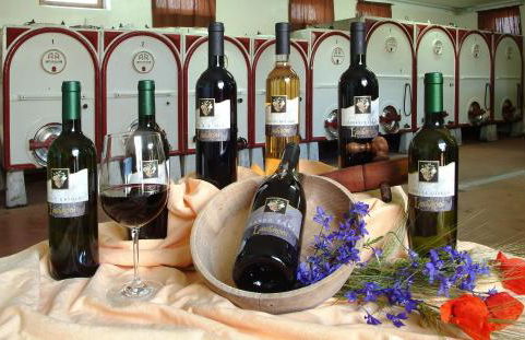 Cascina Lavaroni - Foto 32