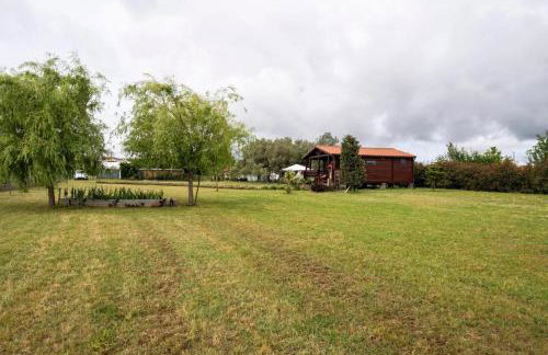 Casa da Lagoa Pateira - Foto 5