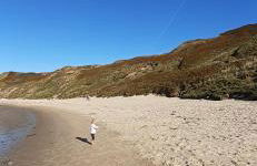 Helyg Bach - Foto 12