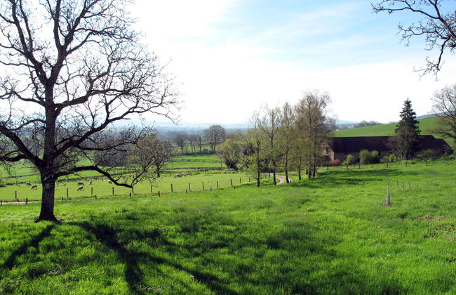 Premier gîte de Bouton - Foto 19