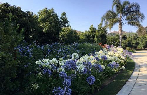 Romantic and Relaxing Villa Retreat with a Jacuzzi near Somis, California - Photo 21