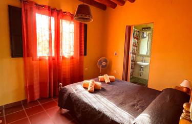 Secano de Paco - Foto 24