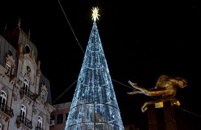 Pontevedra Tour + Vigo Christmas Lights - Foto 8