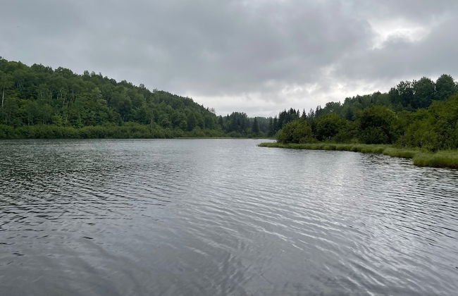 Domaine du Cinq - Foto 44