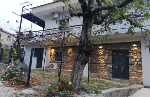 Παραδοσιακο σπιτι με εσωτερικο τζακι - Foto 1