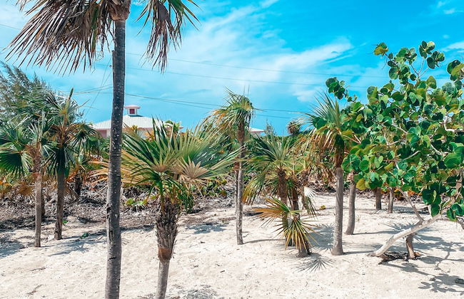 Tropical View Villa - Foto 28