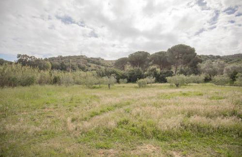 Le Case di Simonetta - HelloElba - Foto 7