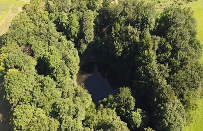 Ferienwohnung mit Garten auf dem Bauernhof - Foto 25