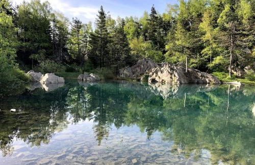 Wood log chalet - Foto 13