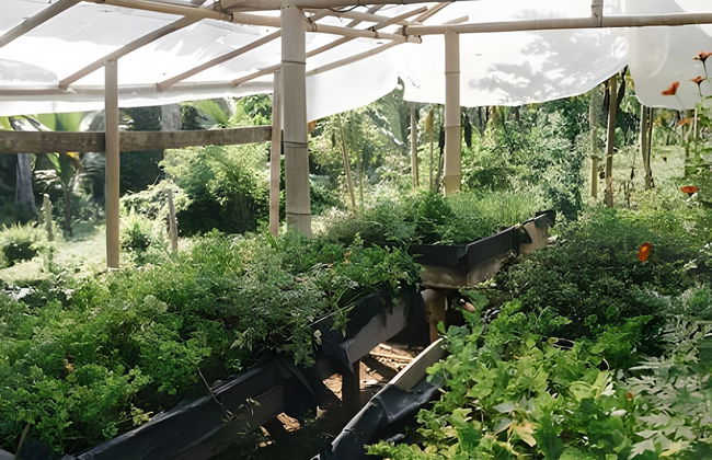 Balsa Nueva Lodge - Foto 34