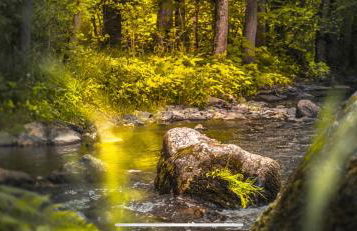 Ferienhaus Ausonius - Foto 33