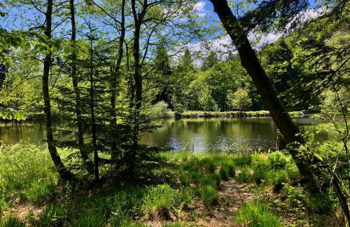 Le Giromagite au pied du Ballon d'Alsace - Foto 20