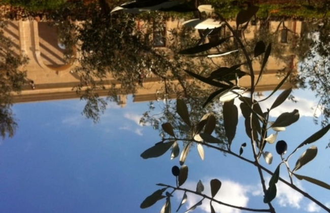 Agriturismo Masseria San Leonardo - Foto 36