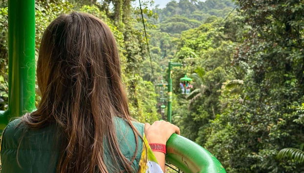 Biglietti per il parco Rainforest Atlantic - Foto 5, Potrete salire su una funivia immersa nella natura